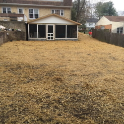 pool removal in maryland completion