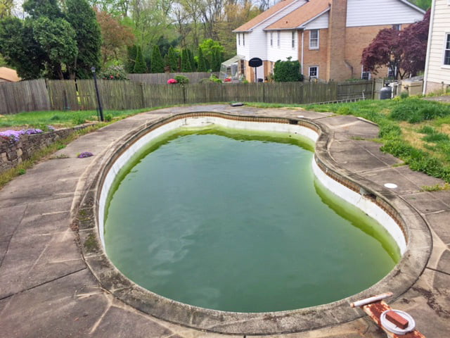 Before the pool removal