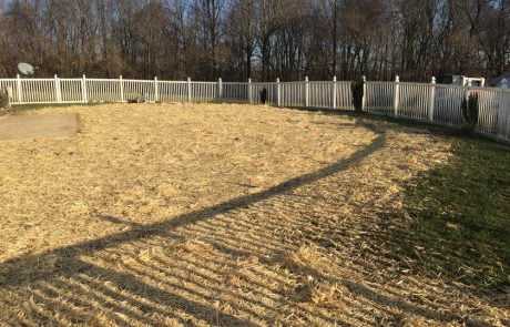 catonsville pool removal