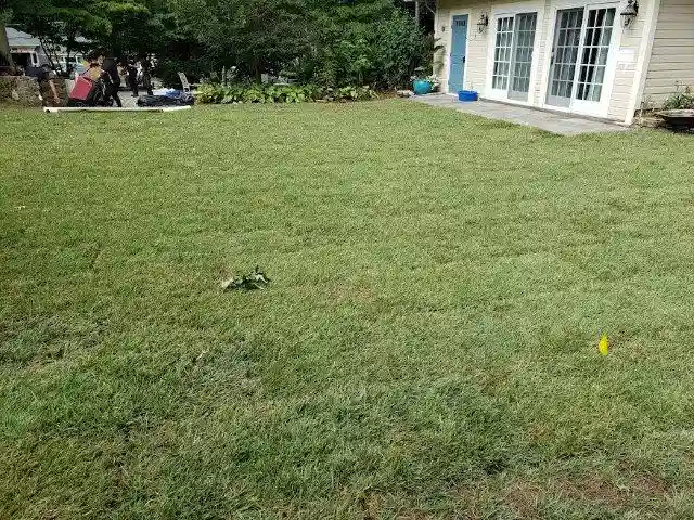 A beautifully restored backyard in Maryland after a pool removal by Remove A Pool, featuring freshly laid sod and a clean, green lawn.
