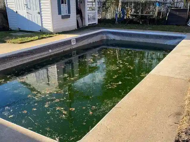 Virginia backyard with an unused, algae-filled swimming pool awaiting demolition and removal by Remove A Pool.