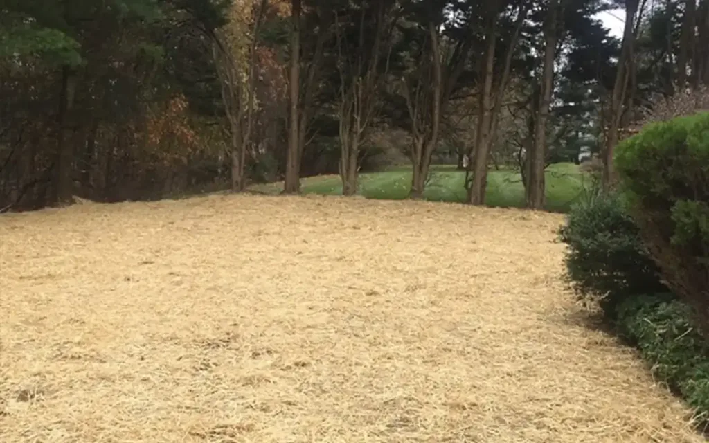 Dallas pool removal and demolition completed by Remove A Pool, with the backyard site prepared with straw for new landscaping.