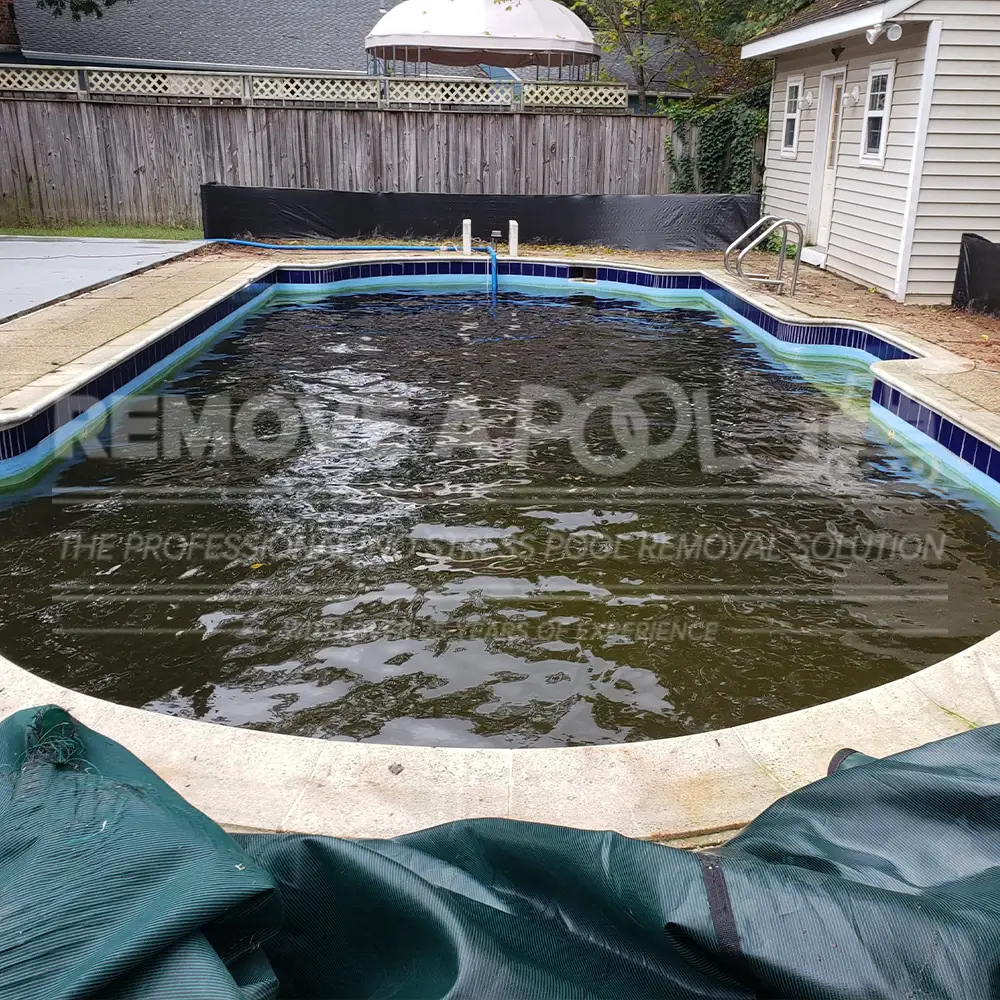 A backyard with a murky gunite pool before removal by Remove A Pool. The pool is filled with dark water, surrounded by a concrete deck. A small building is visible to the right, and a wooden fence lines the yard in the background.