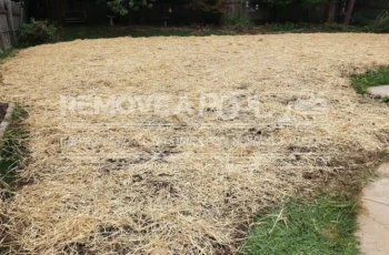 The yard is restored with straw covering the soil, ready for new grass to grow after pool removal. Straw-covered yard after pool removal, ready for new grass growth.