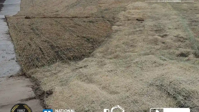A wide view of the restored site after pool removal, with the area fully covered in grass seed and straw.