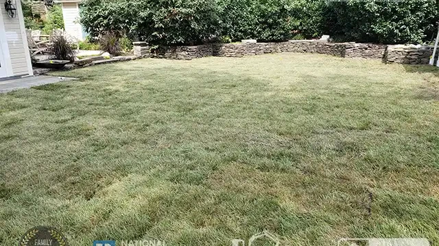Step 20: Here, you can see the results of restoring the client’s backyard. The backyard restoration after pool removal was finished.